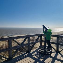 Балтийский экспресс на 6 дней. Цикличный тур в Калининград с октября по май