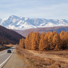 Пейзажи Алтая