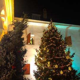 Новый год в Пскове. Автобусный тур из Санкт-Петербурга