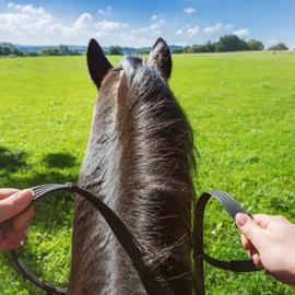 По летним тропам Байкала. Конный тур