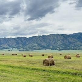 Другой Алтай. Эконом