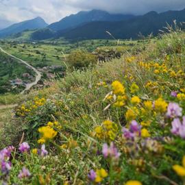 Путь нартов. Экскурсионный тур на Кавказ