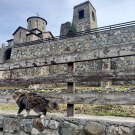Легенды горцев. Экскурсионный тур на Кавказ