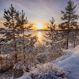 Зимние краски Севера. Карелия