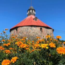 Карельская сага на землях саамов