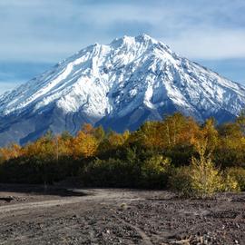 Камчатский весенний микс