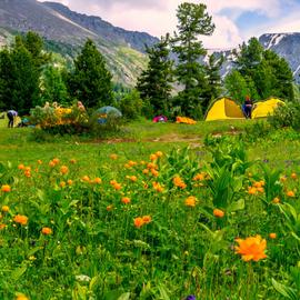 Большое путешествие через весь Алтай. Комбинированный тур без рюкзаков