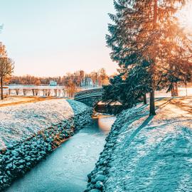Новогодний коктейль. Тур в Санкт-Петербург на 4 дня