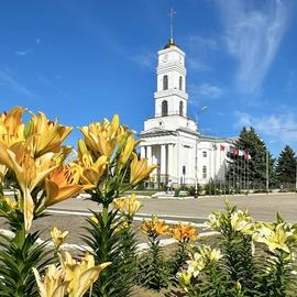 Тюльпановый край саратовской Германии на Волге