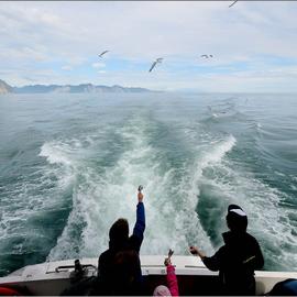 Летний тур на Камчатку