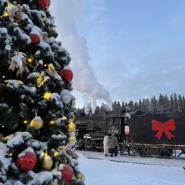 Зимний железнодорожный круиз в Карелию