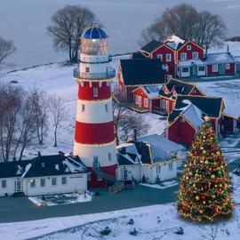 Новогодний карнавал в Рязани. Гала-ужин с развлекательной программой