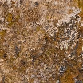 Иркутск – Иркутск на теплоходе Бирюса (СВП)