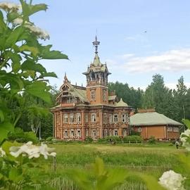 Костромские диковины: «гусиная столица», маралы и родина Ефима Честнякова