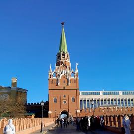 Путешествие из Петербурга в Москву