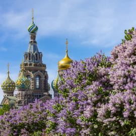 Выходные в Петербурге