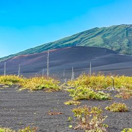 Невероятные Курилы: Кунашир, Шикотан и Хабомаи. Путешествие на другую планету