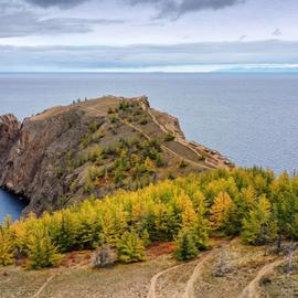 Байкальский гербарий
