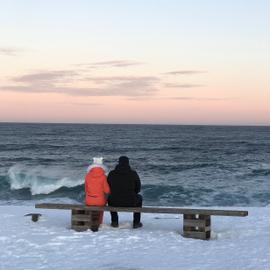 4 дня на Кольском: северное сияние, Хибины, Териберка, хаски-парк