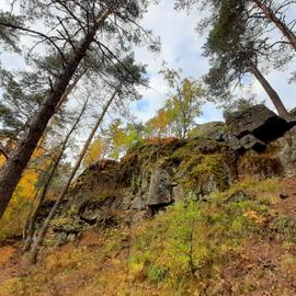 Петрозаводск и Онега на Ласточке