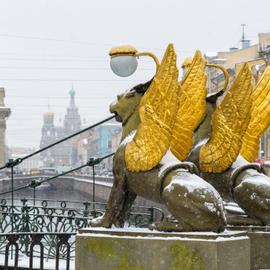 Город с хорошим вкусом. Зимний гастрономический тур в Петербург на 3 дня