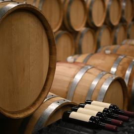 Цветущая степь Калмыкии с посещением винодельни