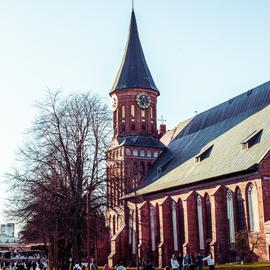 В Калининград в любой день. Недельное путешествие с ноября по март