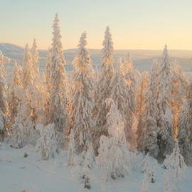 Путешествие на Байкал и в Бурятии