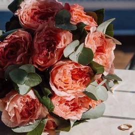 Москва – Плёс – Москва на теплоходе Феликс Дзержинский