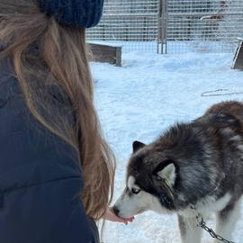 Новогодний колорит Карелии