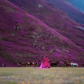 Активное путешествие на Алтай: цветение маральника