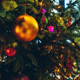 Вкусно едем: новогодняя Удмуртия угощает. Сокращенная программа