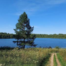 По следам графа Шереметева. Н. Новгород — Озеро Светлояр — Шереметевский Замок