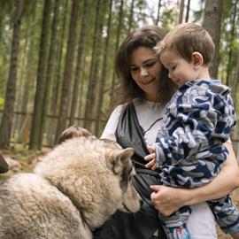 Майские праздники в Карелии. Тур на 3 дня