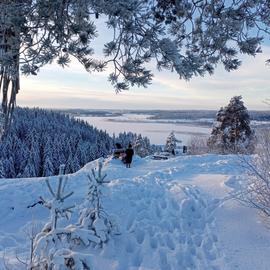 Зимние краски Севера. Карелия