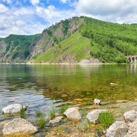 Летние Байкальские истории