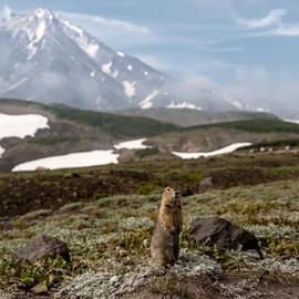 Осенняя Камчатка