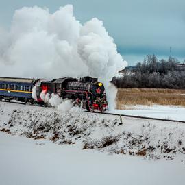 Времена года. Зимняя Карелия с фотографом. Путешествие на другую планету