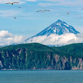 Домашние вулканы и морская стихия Камчатки