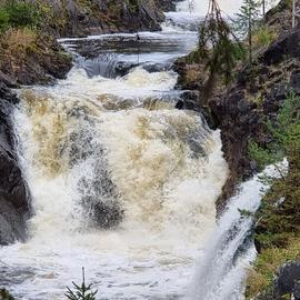 Карелия: лес, вода и камень. Автобусный тур из Санкт-Петербурга