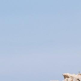 Иркутск – Иркутск на теплоходе Бирюса (СВП)