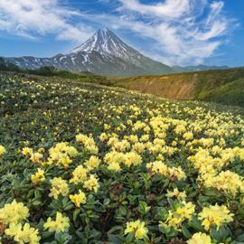 Камчатка в мае и июне