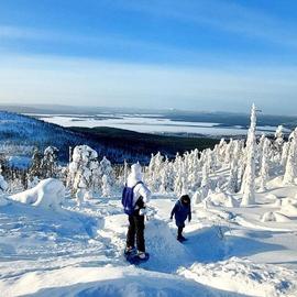 Тур на Кольский полуостров за северным сиянием