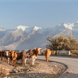 Большой осенний Кавказ. 12 дней открытий