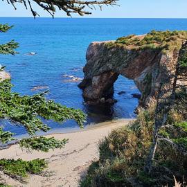 Знакомство с далеким Сахалином
