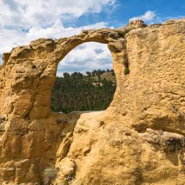 На Кавказ просто так