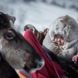 Ямальская зима