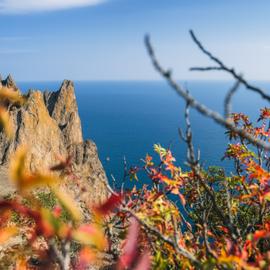 Краски осеннего Крыма