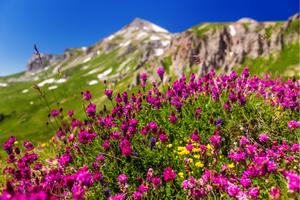 Кавказская рулетка. Тур со случайной экскурсией — фото 5