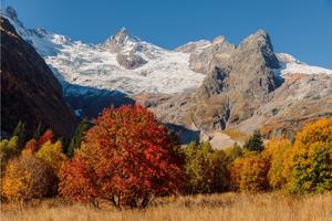 Домбай и регион КМВ. Тур на выходные — фото 18